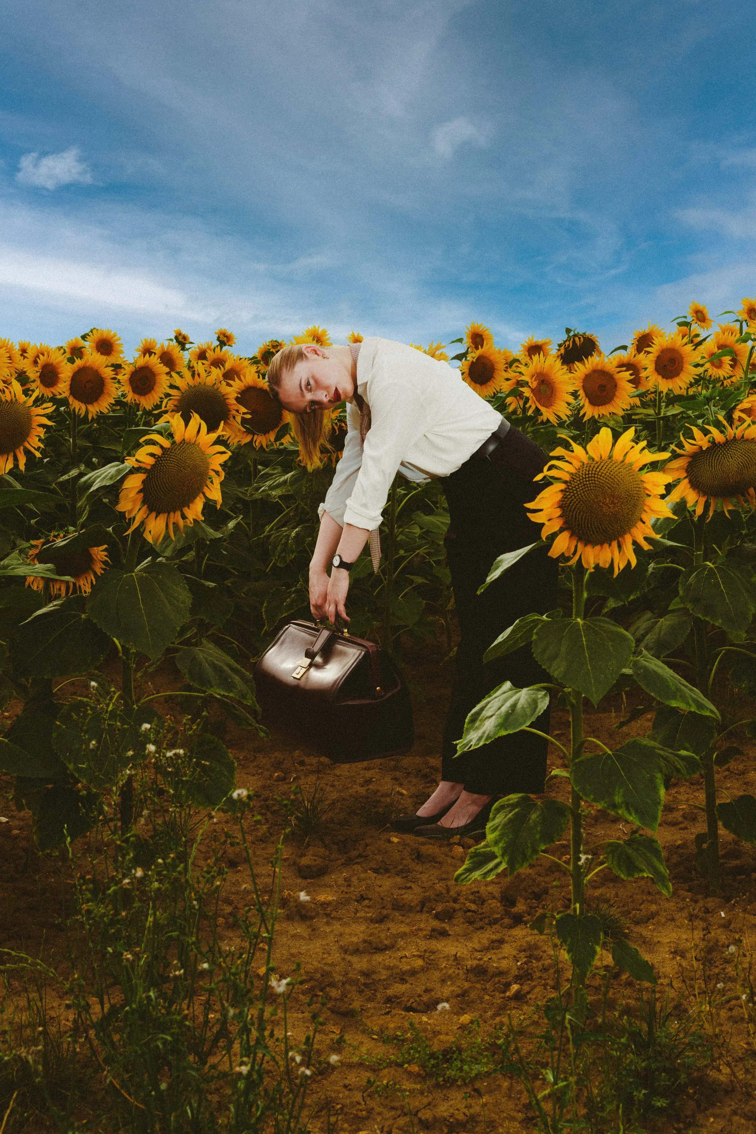 Marine D. bending into a sunflower field to lift a leather bag, white shirt against a deep blue sky