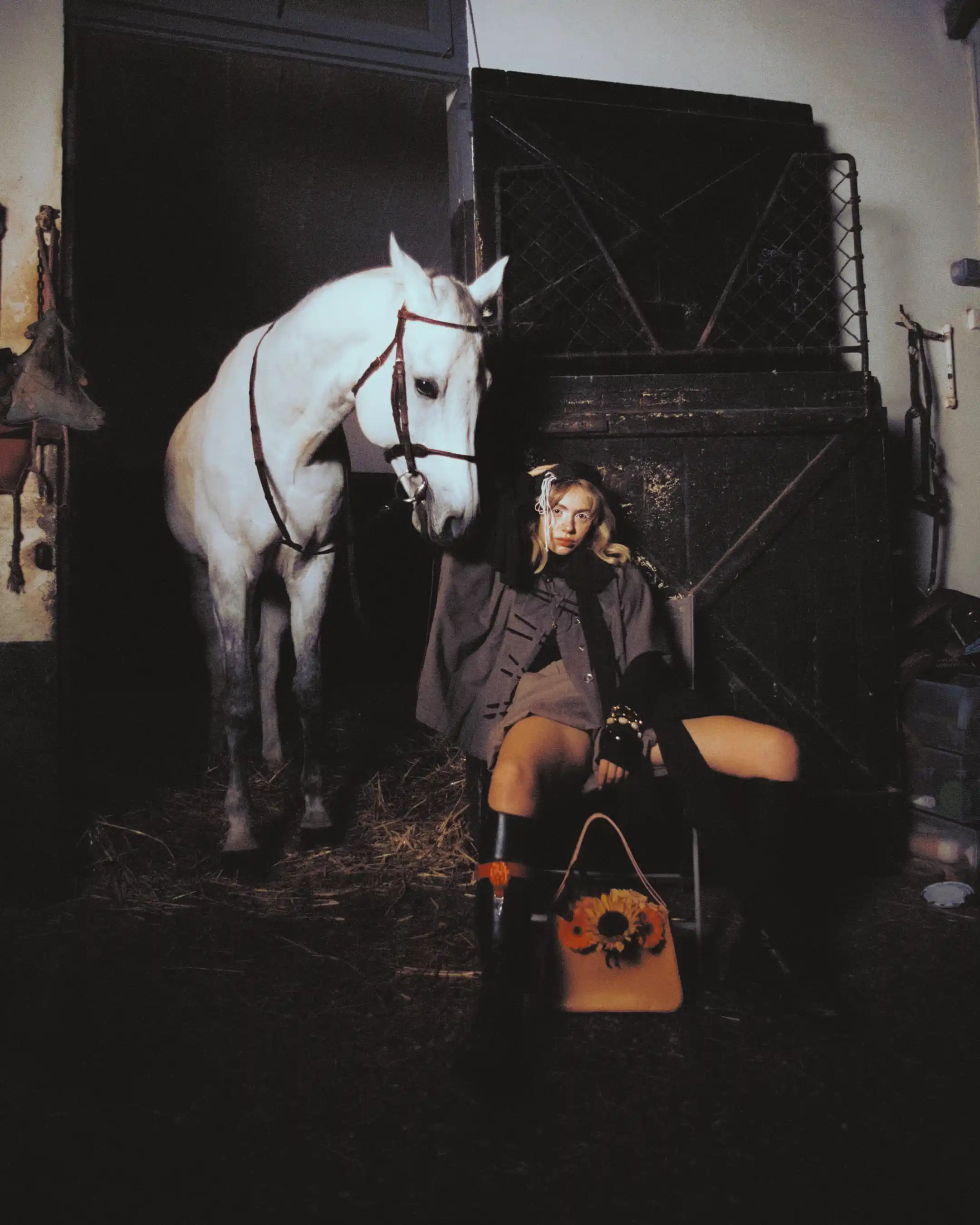 Vertical closing frame of Romane Parc sitting against the stable door while Cassalo stands over her