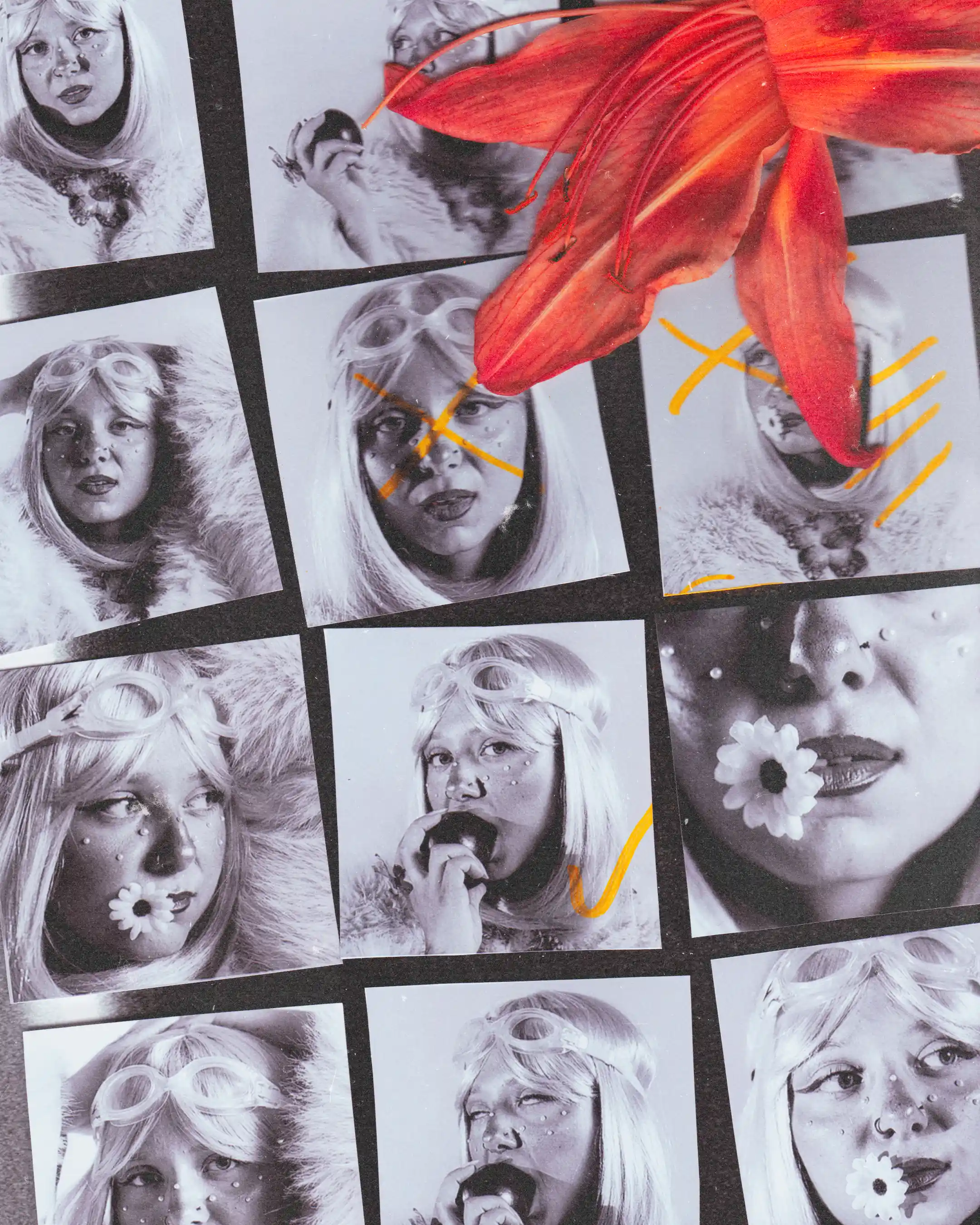 Black-and-white contact sheet of the shoot marked in orange, a red lily laid across the prints