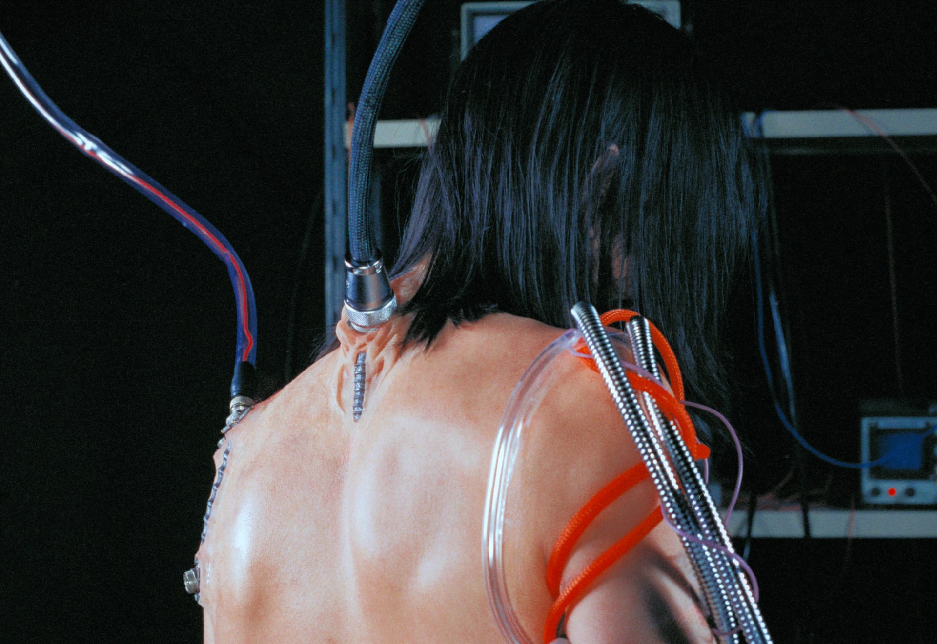 Resurgence image 9